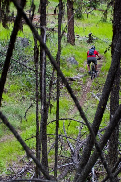 Jeff, Sheppards - sweet as techy single track