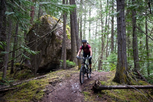 Lush forest and singletrack (between Kinney and upper valley)