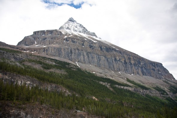 Mt Robson 