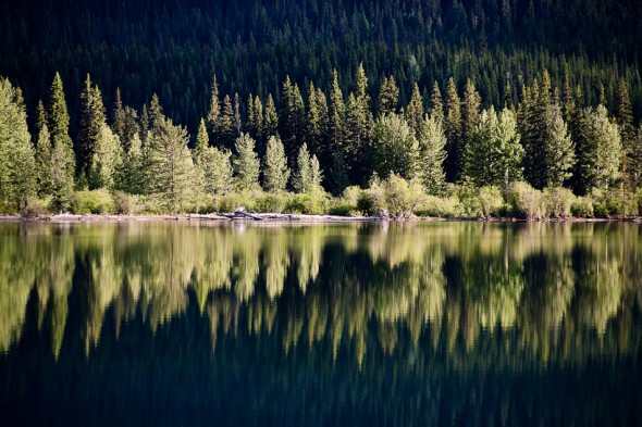 Moose Lake reflection, Mt Robson