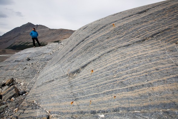 Moraine, Athabasca Glacier 