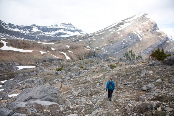 Nigel Pass, Icefields Parkway