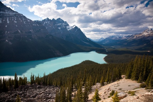 Peyto Lake, looking towards Icefields Parkway