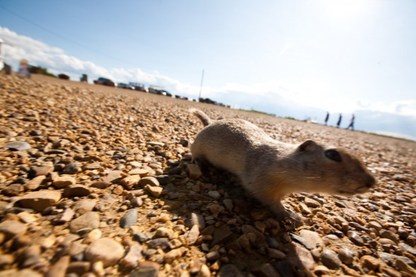 This little guy took a liking to my 16-35mm