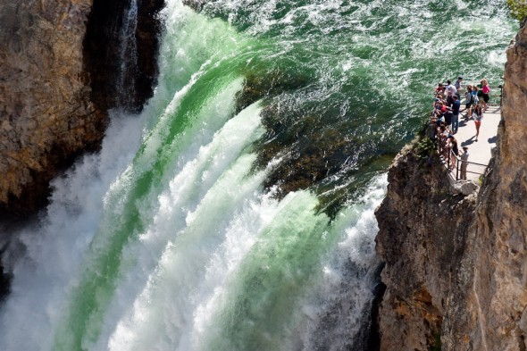 Yellowstone Falls - Grand Canyon of Yellowstone National Park