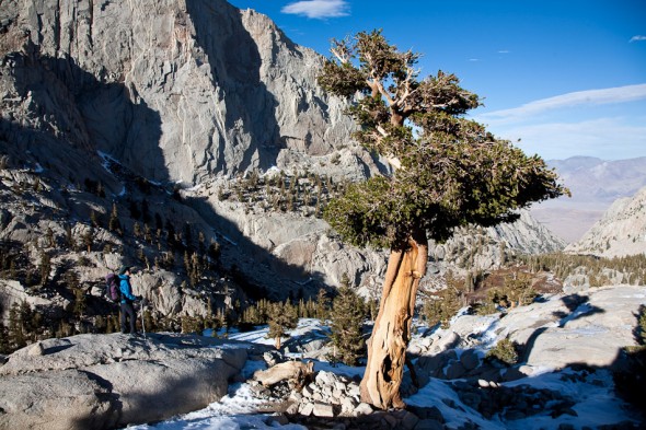 Walking in to Trail Camp