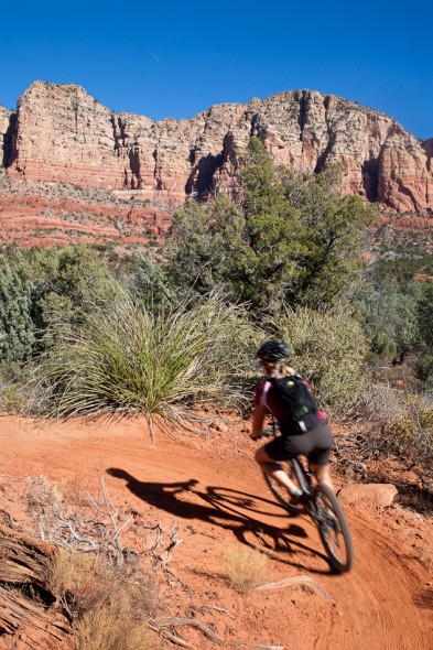 Llama Trail - Sedona