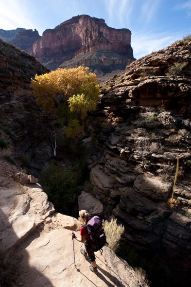 Hiking up Bright Angel to Indian Garden camp for night two.