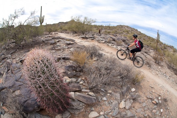 South Mountain - epic 5 hour loop just on the fringe of Phoenix. One of the best rides we've done in the US.