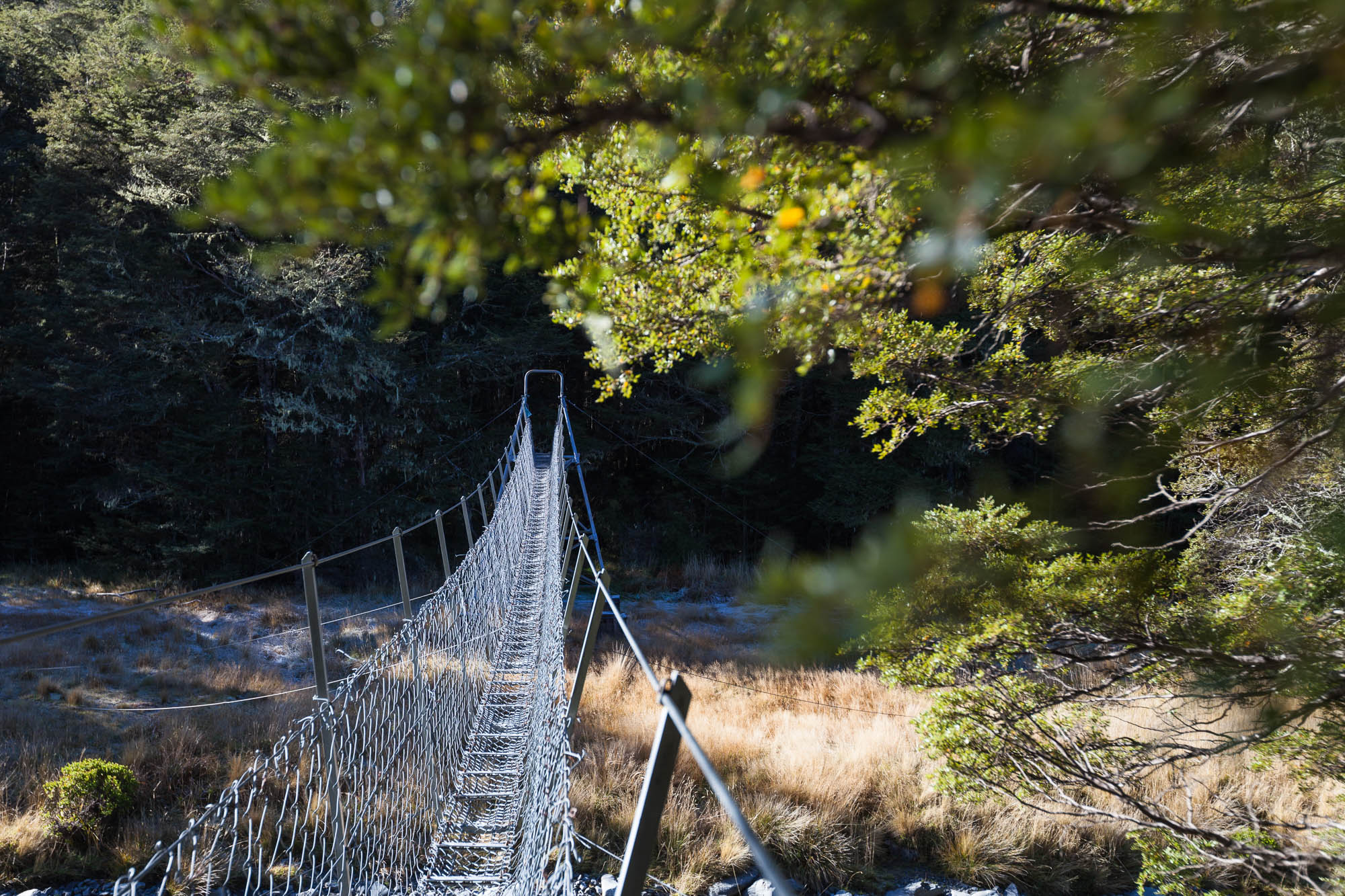 Te Araroa Trail Photography Book