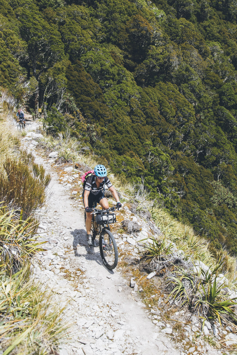 Emerging from the bush after the 1200m climb past Lyell Saddle onto Mt Montgomery (1332m).