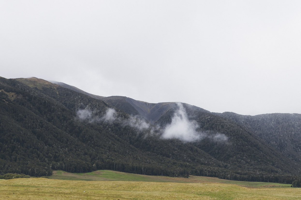 Henry River valley near Anne Hut.