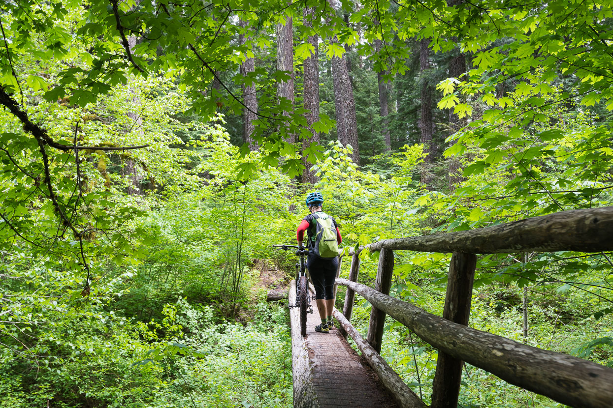 Crossing one of the many log bridges.