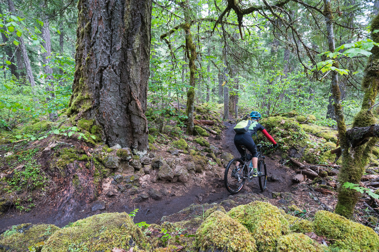 Nice flow on the second half of the trail.