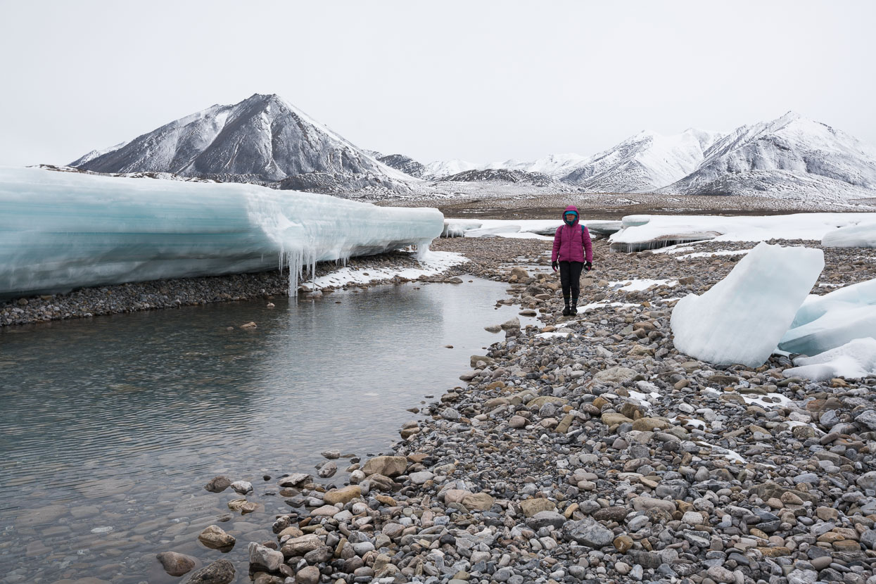 Aufeis is created as sucessive sheets of ice form on the lake and stream surface by water forced through cracks from the still flowing stream below.