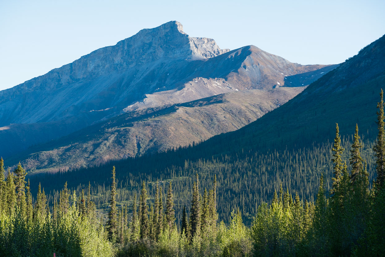 The landscape takes on a fresh texture and the tan hills are cloaked in green.