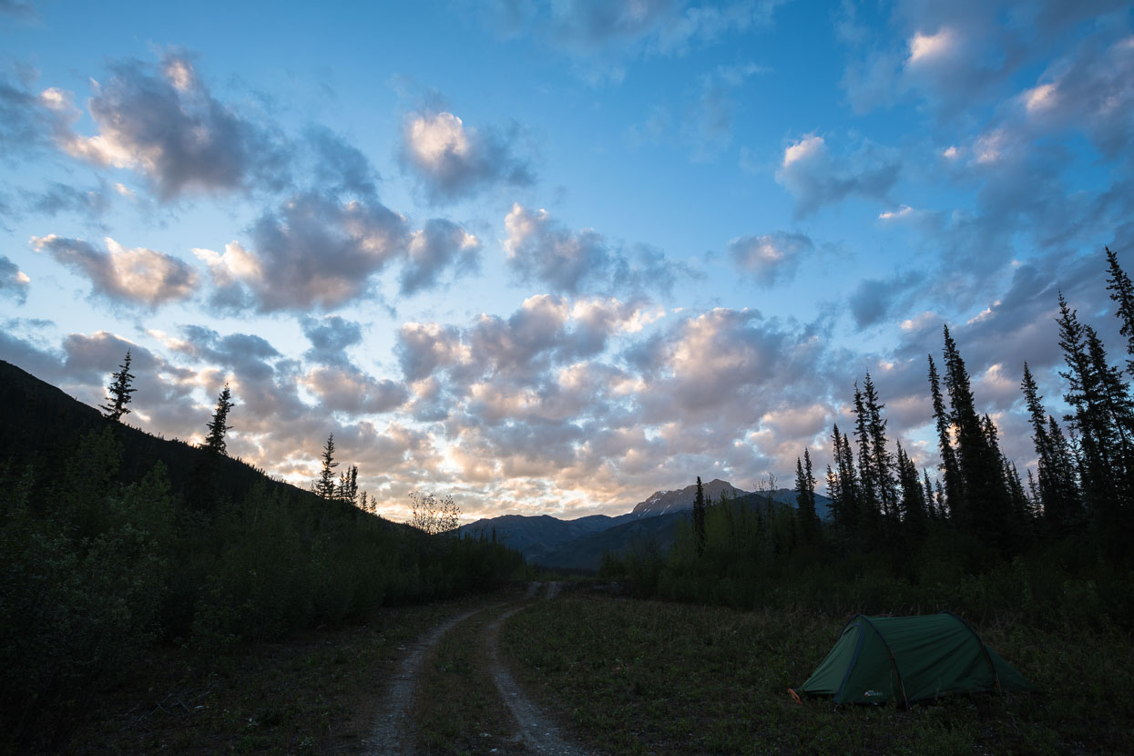 3am skies over our our campsite.