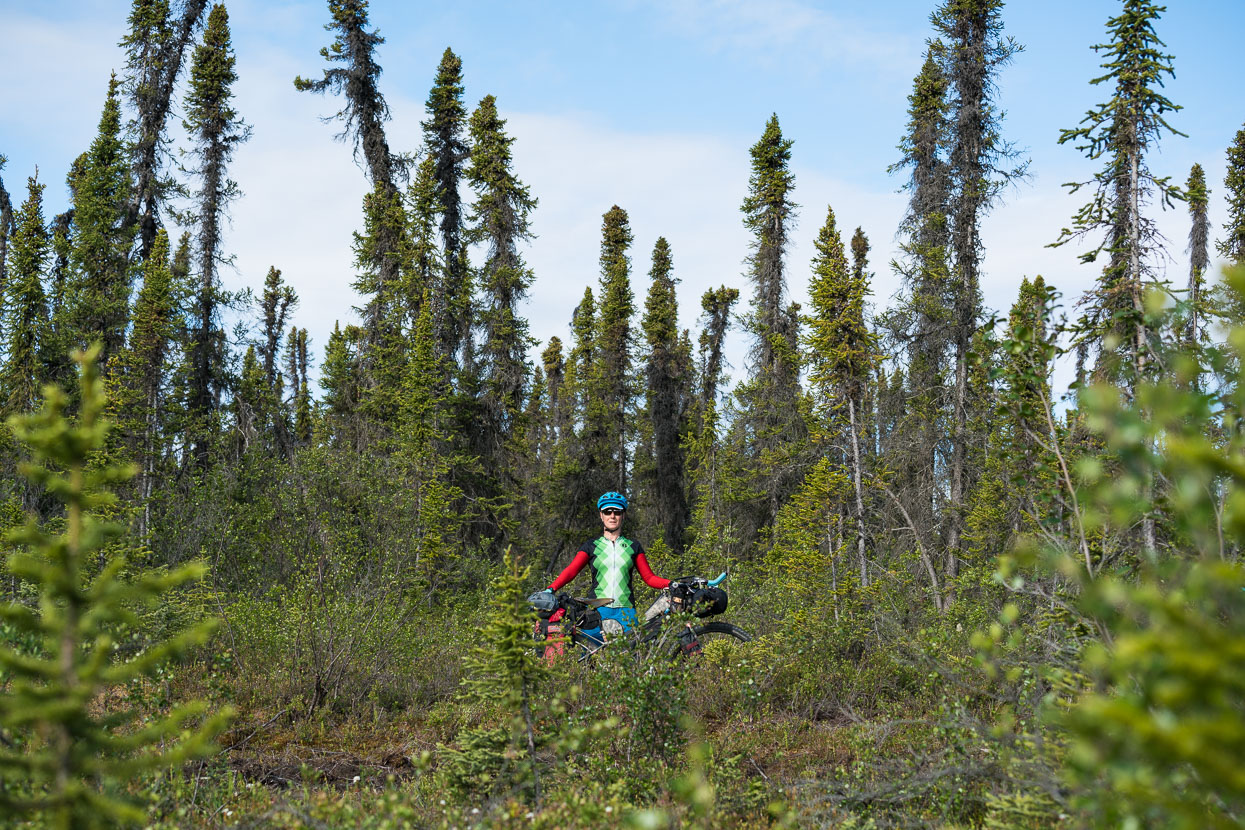 The stunted nature of these far north spuce trees reminds us of high elevation forest back home.