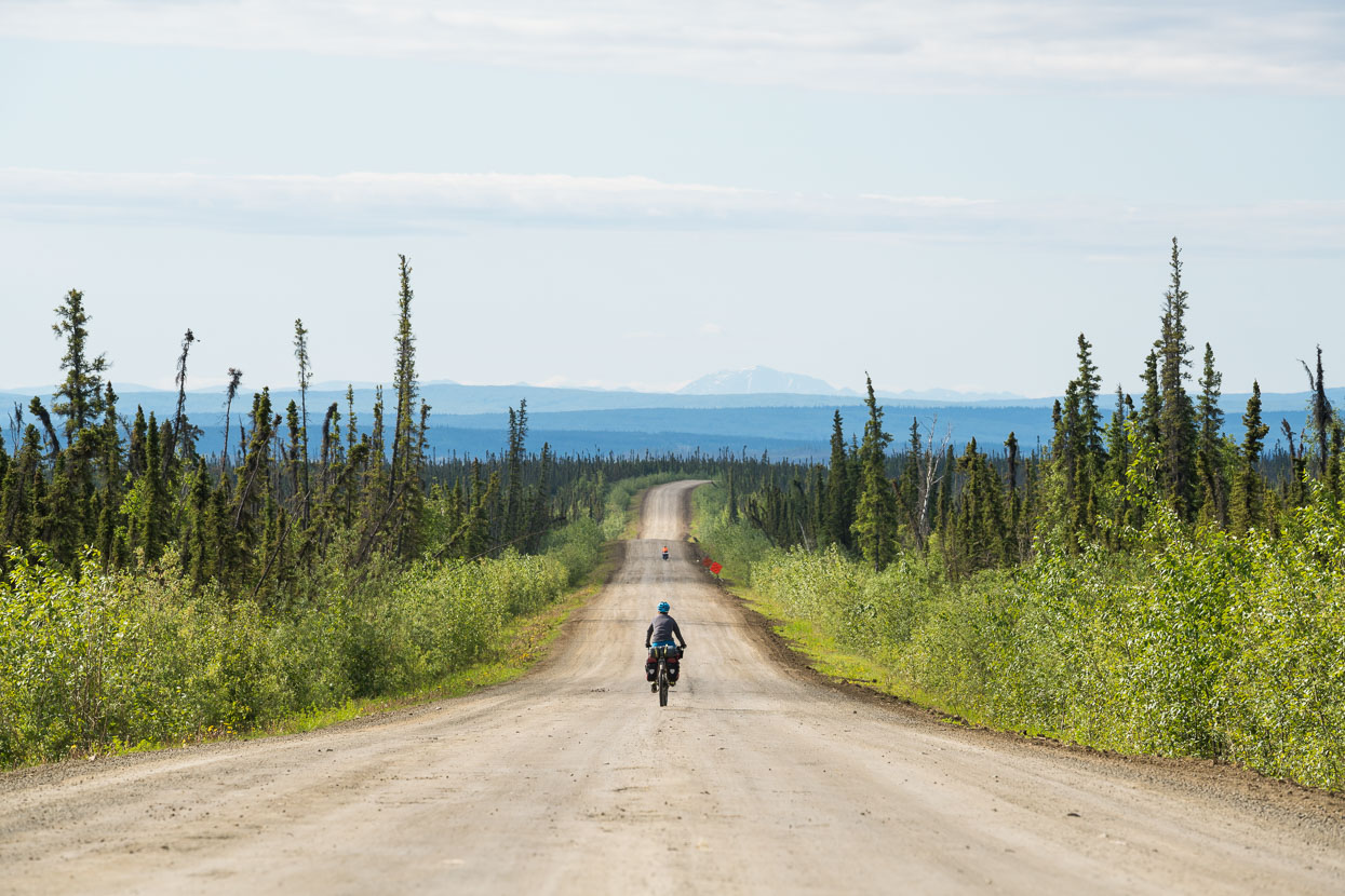 From Finger Mountain the road rolls gently on a downward course towards the Yukon River, seemingly endless boreal forest either side. We have to remind ourselves that this is the only road for thousands of kilometres, the rest is simply wilderness.