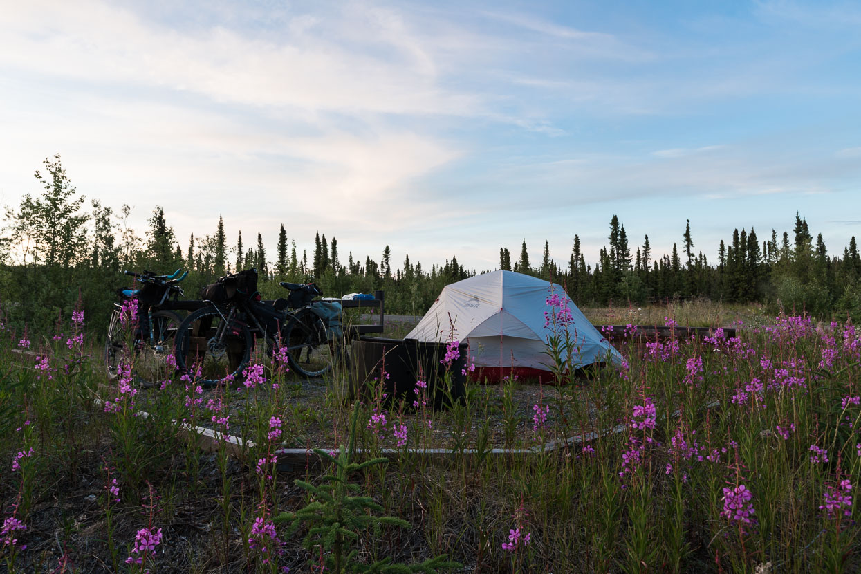 The day ended after 132km at Sourdough Camp, a basic BLM campsite. A great stop for the eveing with both the fireweed and the sun out.