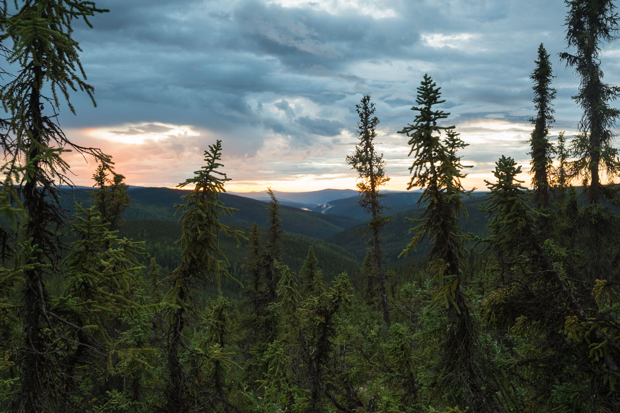 The far reaching spruce of these boreal forests. The following day we'd ride on to the Canadian Border.