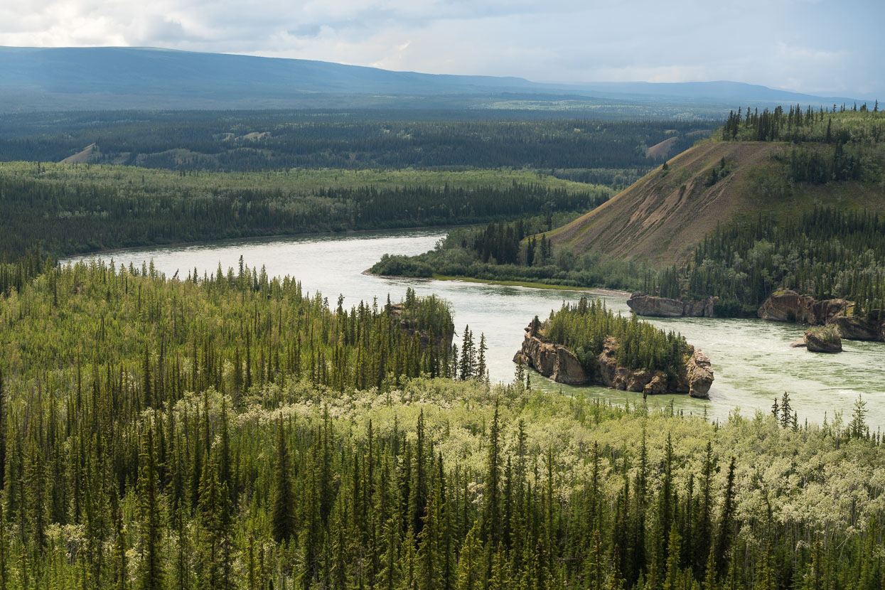 Between Pelly Crossing and Carmacks the Klondike Highway nears the Yukon River for time. This section, Five Finger Rapids is referred to in Jack London's 'Call of the Wild'.