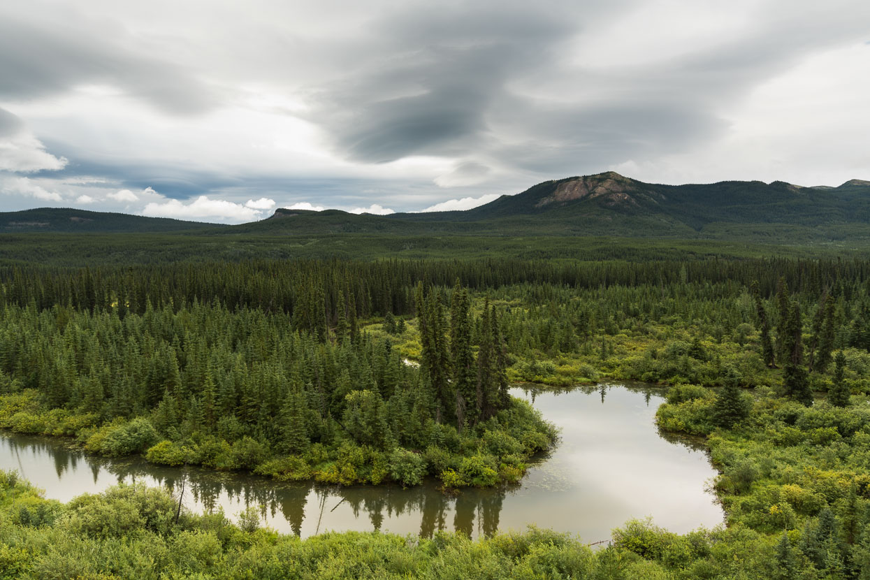 Landscape just south of Veronica Lake, Alaska Highway.