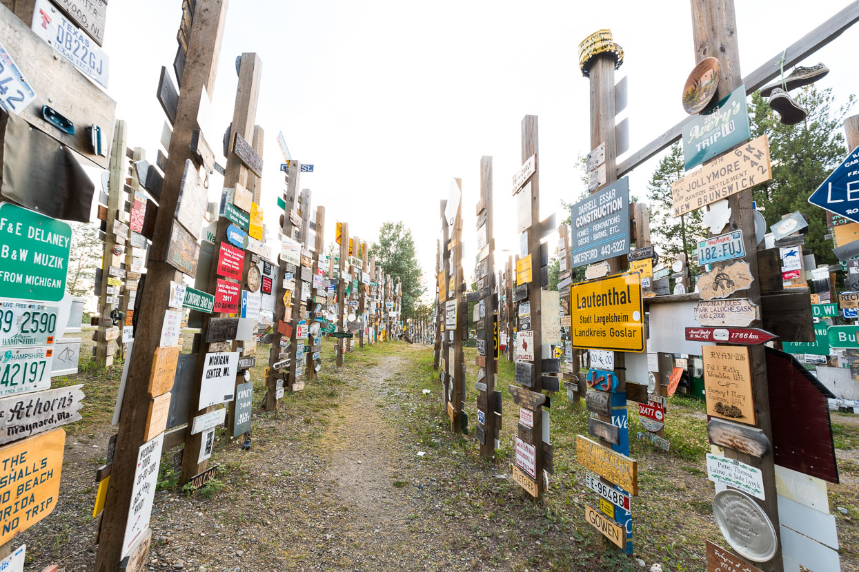 Watson Lake is famous for its sign forest, containing thousands upon thousands of signs from all over the world, with people contributing their own home made ones daily during the summer.