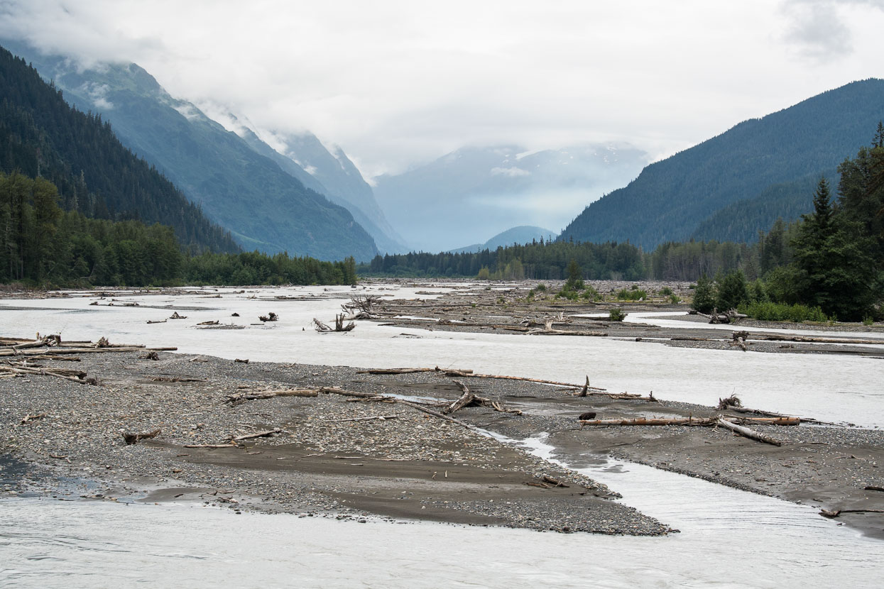 Looking upstream along the Bear River. During the ride down valley we saw the biggest change in forest type we'd experienced on the ride, as the drier, high elevation spruce changed to taller, denser coastal forest with thick undergrowth - an indicator of the high levels of rainfall this mountainous coastal environment receives.