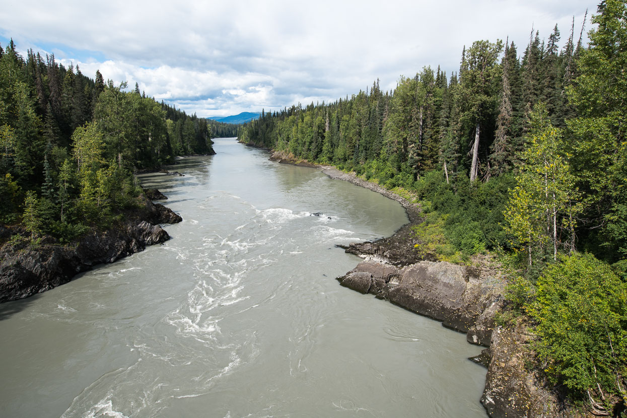 Satisfied with our bear viewings we hit the road again for a final couple of days on the Stewart Cassiar Highway, en route to the Yellowhead Highway.