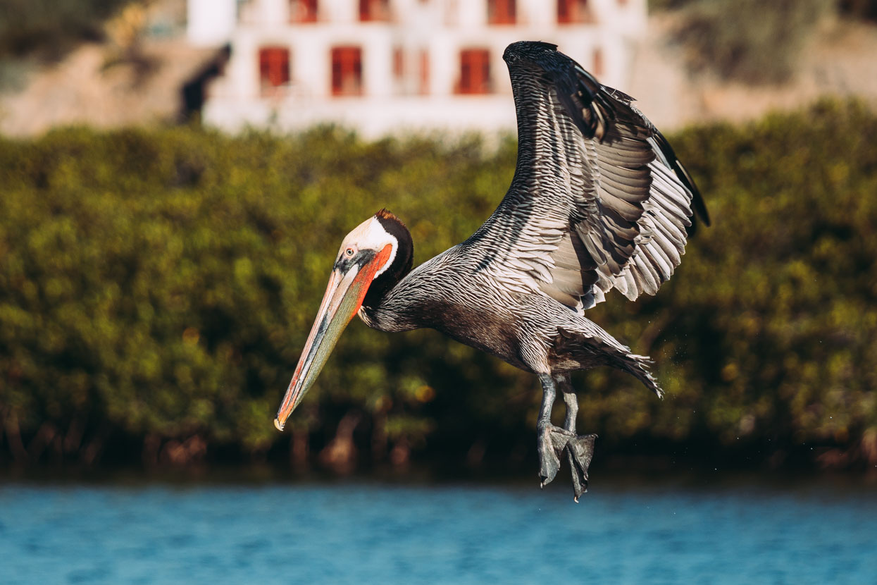 Baja Divide: Canyons &#038; Capes, Highlux Photography