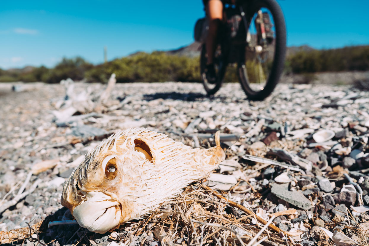 Baja Divide: Canyons &#038; Capes, Highlux Photography