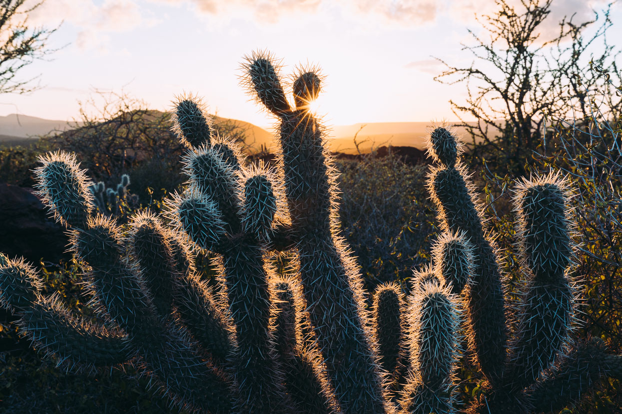 Baja Divide: Canyons &#038; Capes, Highlux Photography