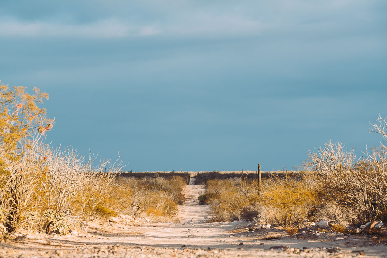 Baja Divide: Canyons &#038; Capes, Highlux Photography