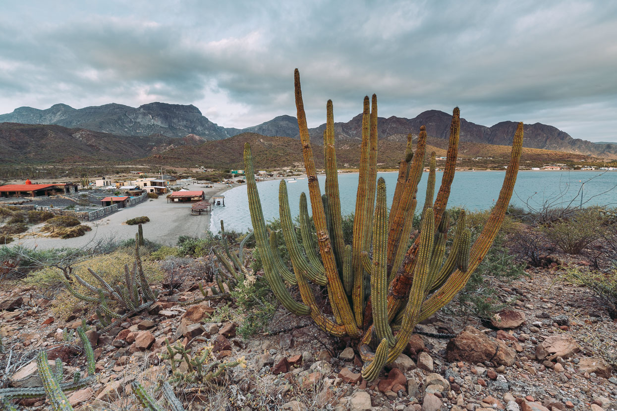 Baja Divide: Canyons &#038; Capes, Highlux Photography