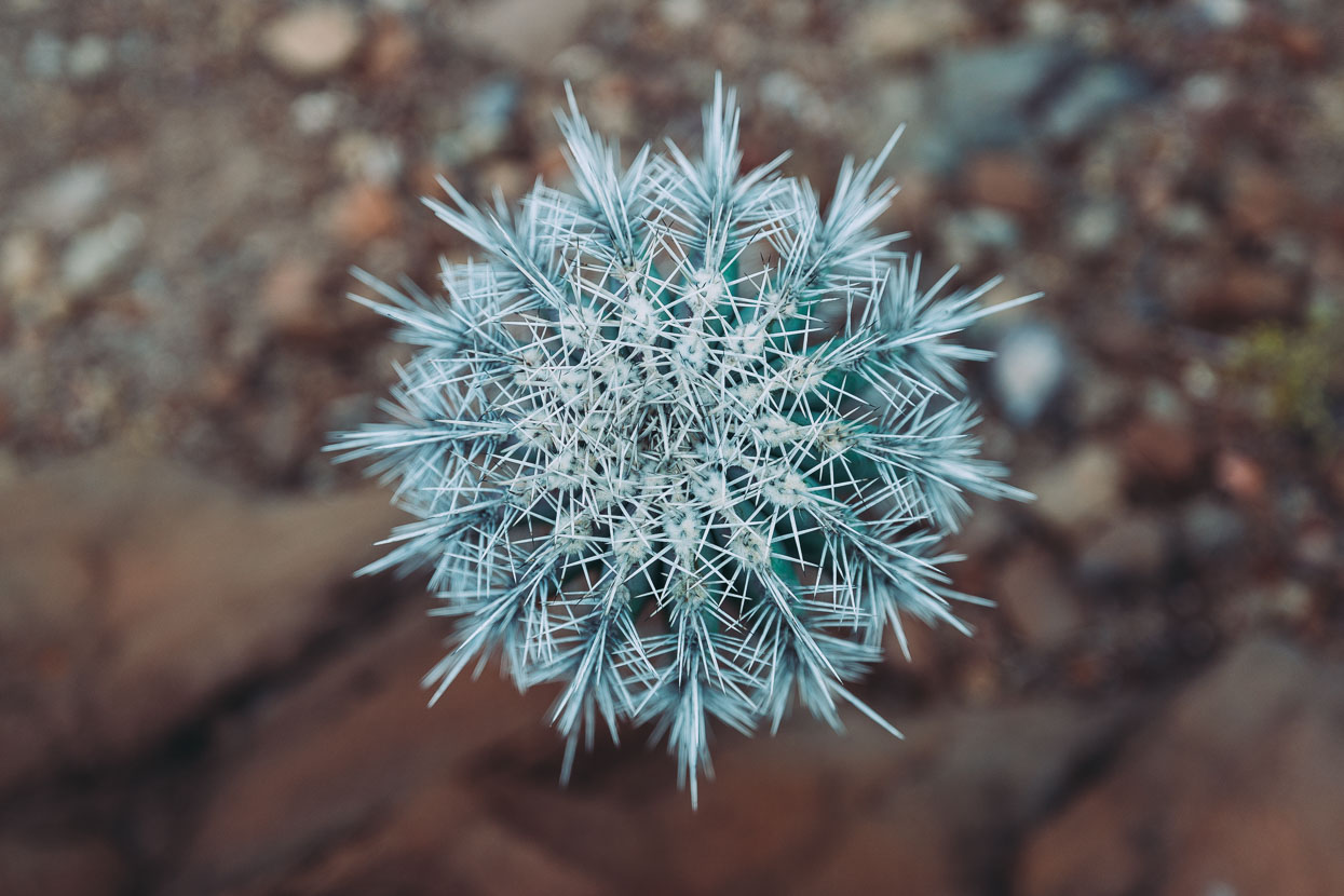 Baja Divide: Canyons &#038; Capes, Highlux Photography