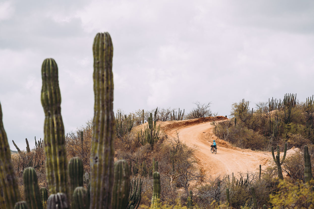 Baja Divide: Canyons &#038; Capes, Highlux Photography