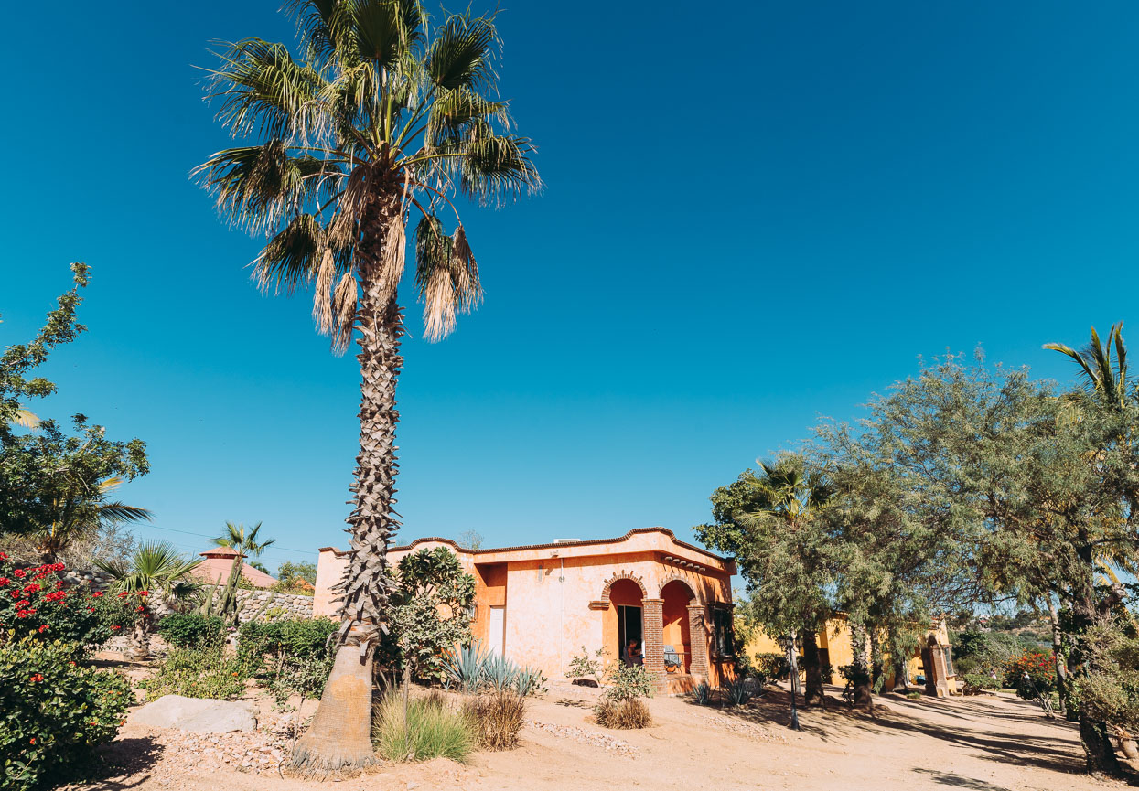 Baja Divide: Canyons &#038; Capes, Highlux Photography