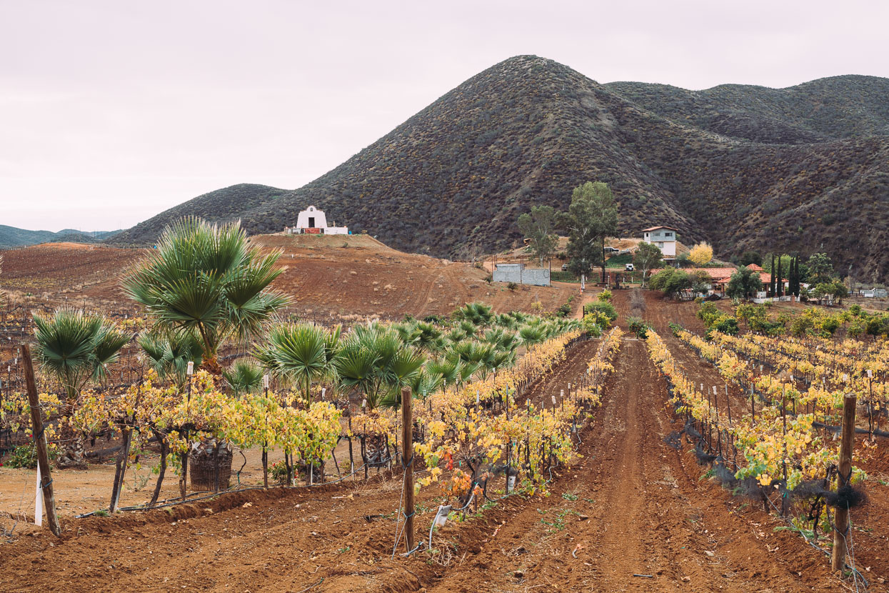 Baja Divide: Coast to Coast, Highlux Photography