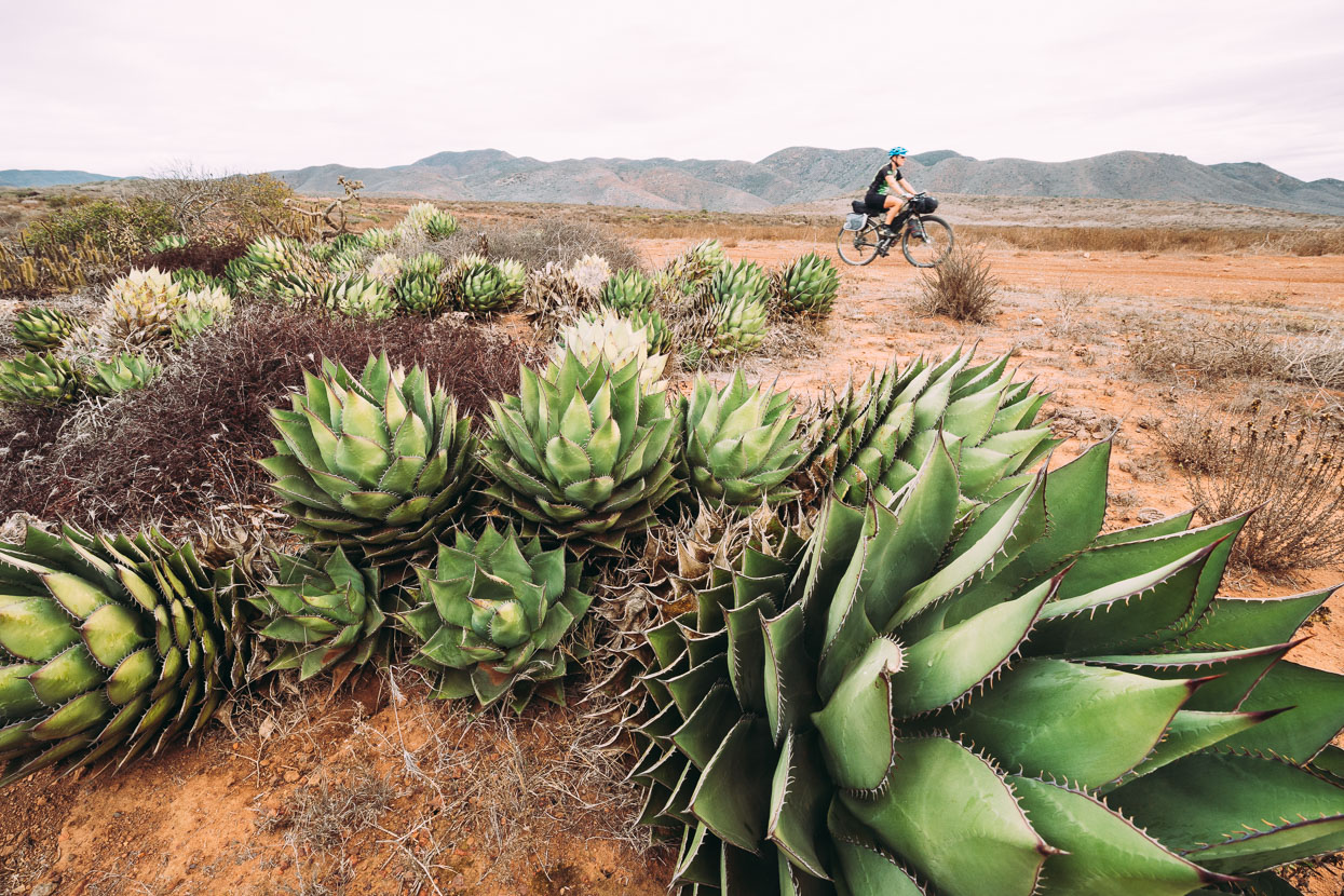 Baja Divide: Coast to Coast, Highlux Photography