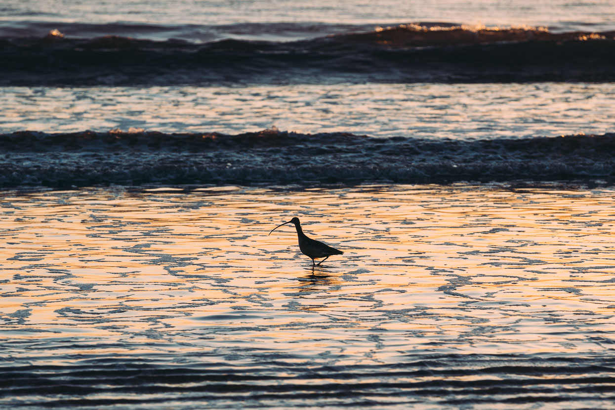 Baja Divide: Coast to Coast, Highlux Photography