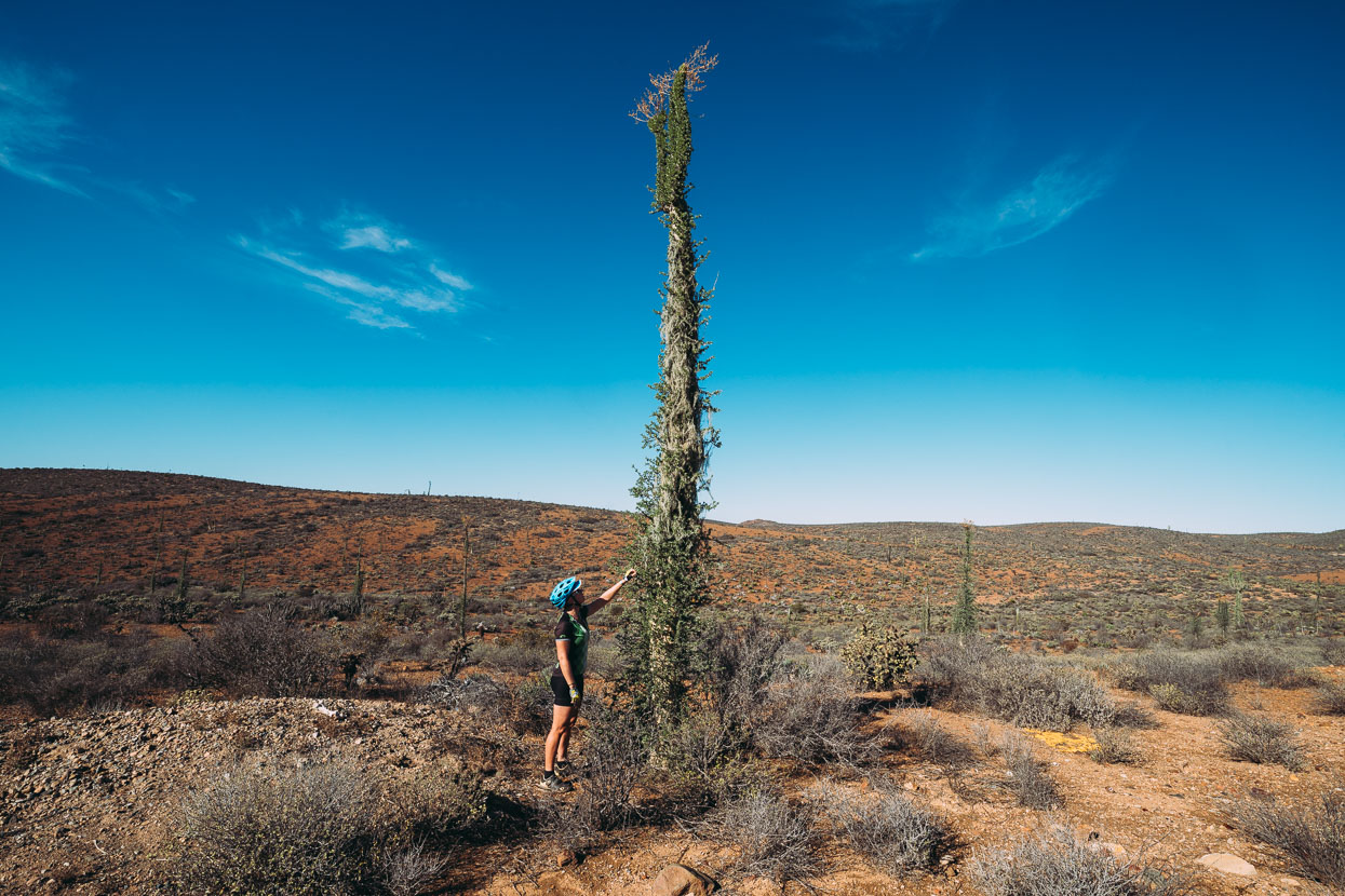 Baja Divide: Coast to Coast, Highlux Photography