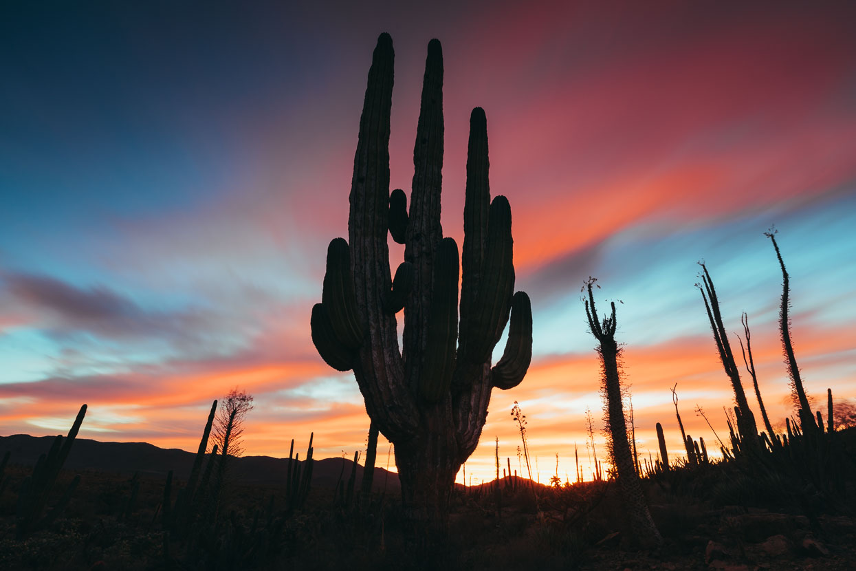 Baja Divide: Coast to Coast, Highlux Photography