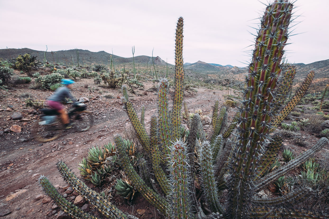 Baja Divide: Coast to Coast, Highlux Photography