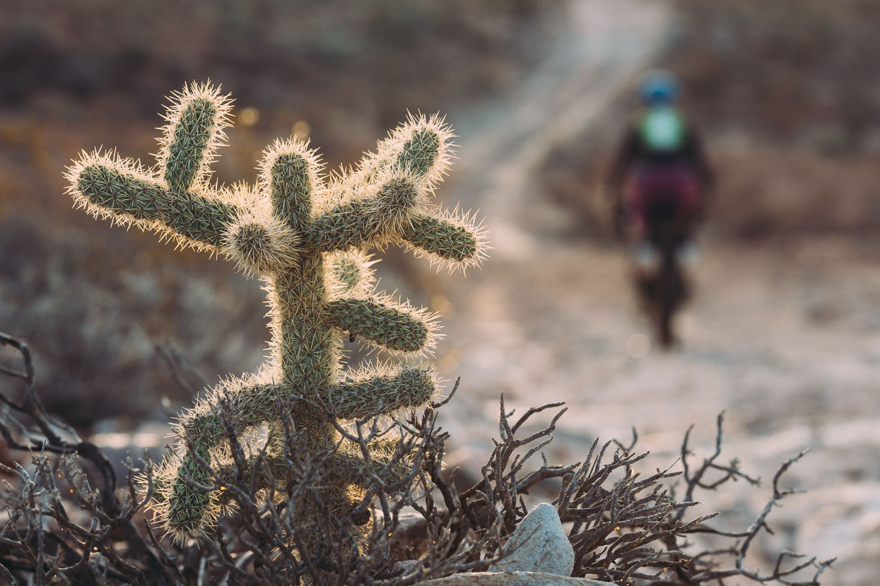 Baja Divide: Coast to Coast, Highlux Photography