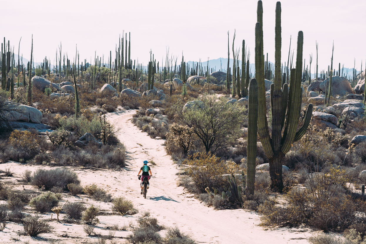 Baja Divide: Coast to Coast, Highlux Photography