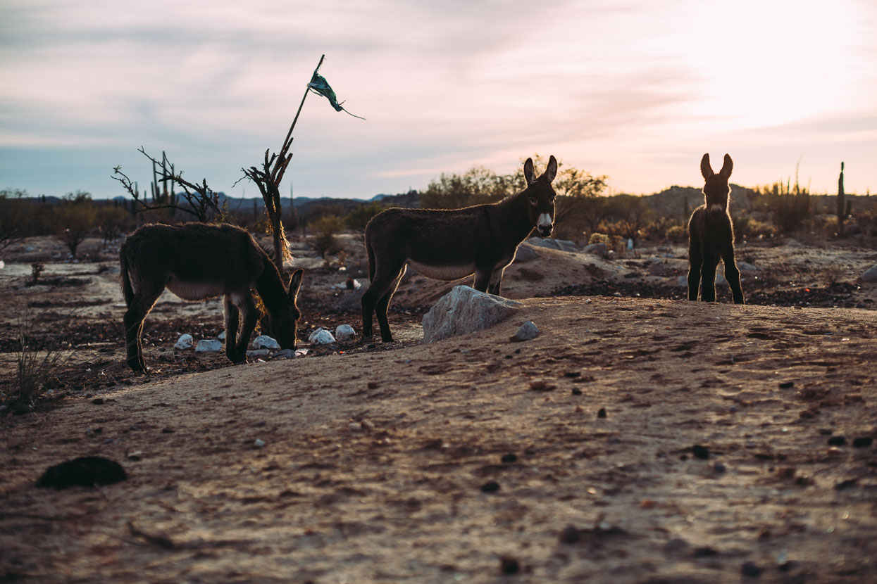 Baja Divide: Coast to Coast, Highlux Photography