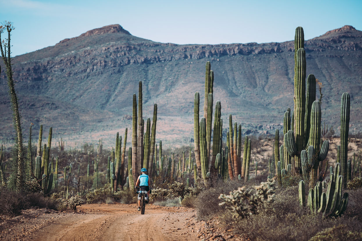 Baja Divide: Coast to Coast, Highlux Photography