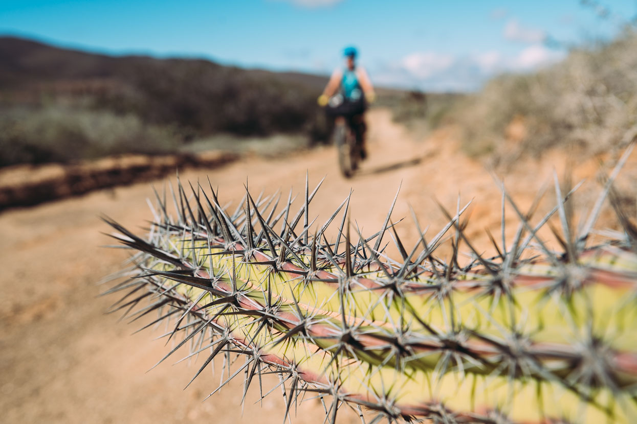 Baja Divide: Coast to Coast, Highlux Photography