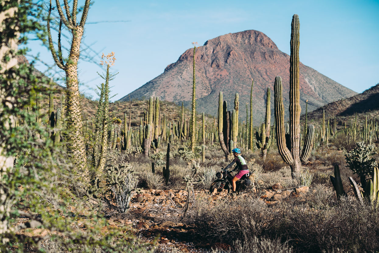 Baja Divide: Coast to Coast, Highlux Photography